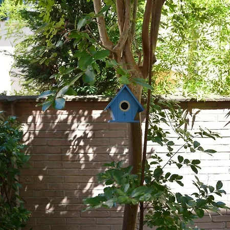 La Casetta Bed and Breakfast Campogalliano